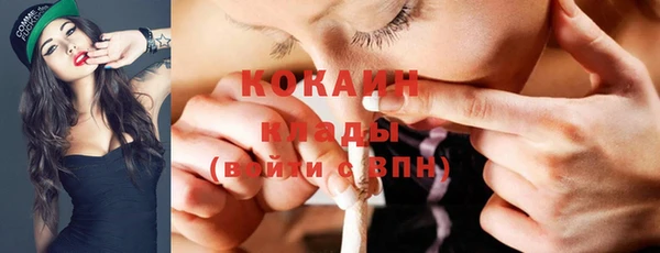 шишки Волоколамск