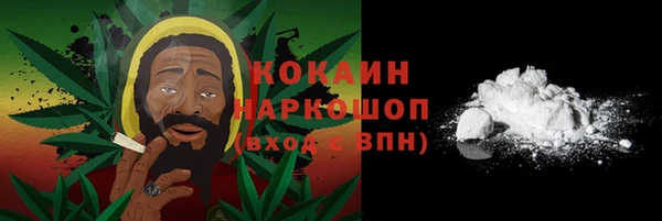 шишки Волоколамск