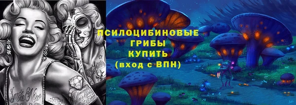 шишки Волоколамск
